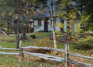 Coureur des bois automne Accueil
